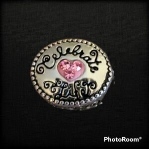 Jcm Stainless Steel Celebrate Life Slider Charm